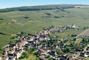 Champagne Dominique Papelard - 